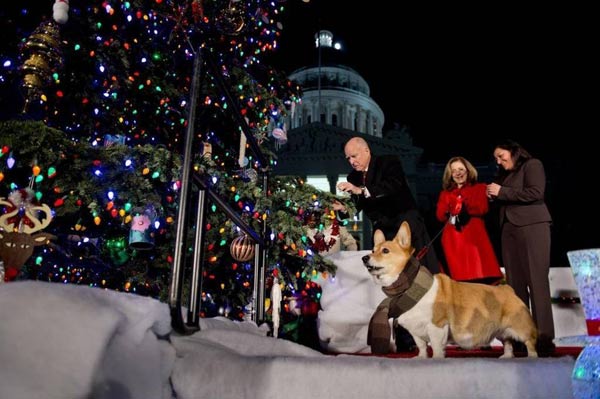 枪击惨案发生后 加州州长宣布取消圣诞树点灯仪式