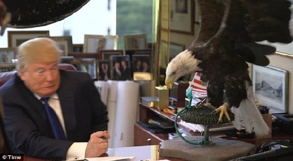 特朗普拍《时代》封面 惨遭美国国鸟攻击