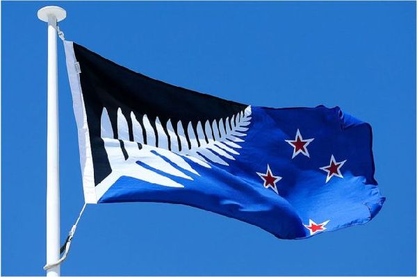 新西兰新国旗公投 黑蓝银蕨脱颖而出