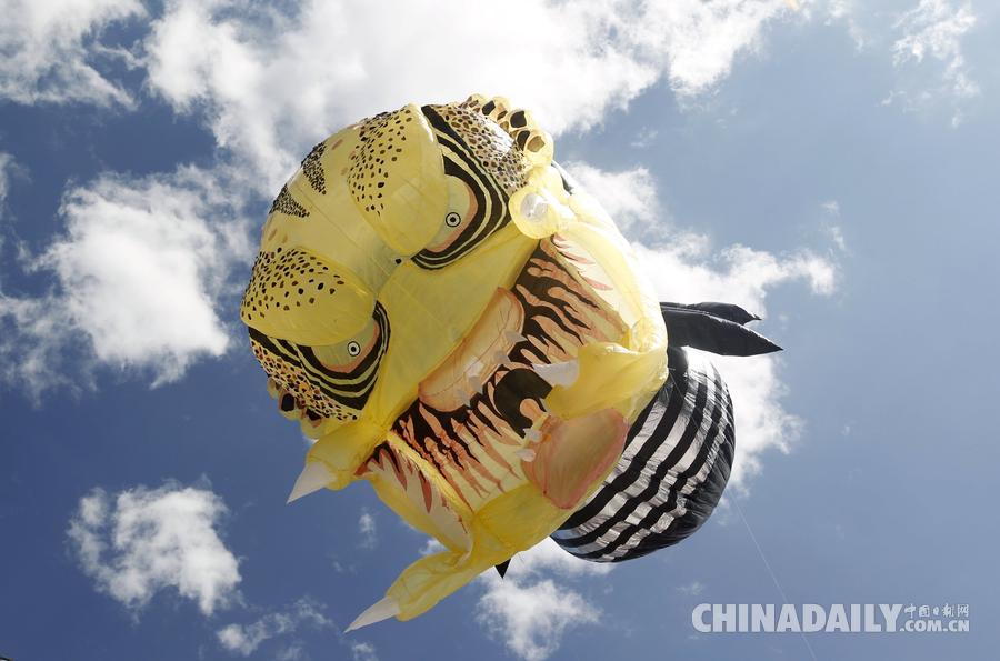 哥伦比亚太阳能气球节异彩纷呈 “外星人”占据半边天