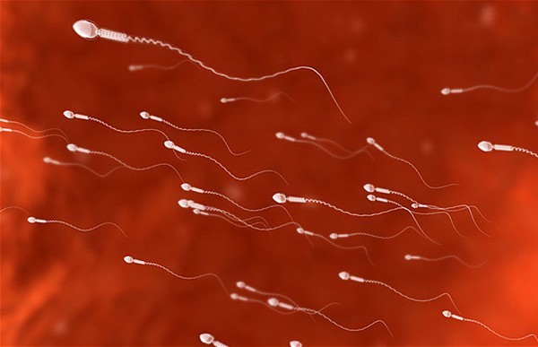 美科学家取得生育技术大突破 或出现男女皆宜的避孕药