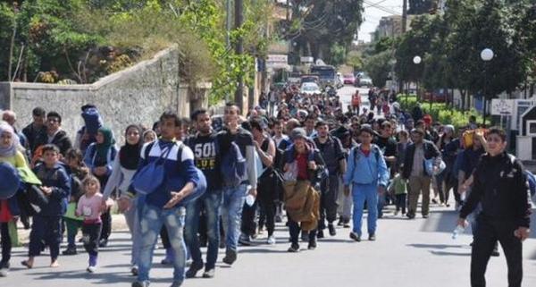 欧土协议难民遣返将开始 希腊土耳其均爆发抗议