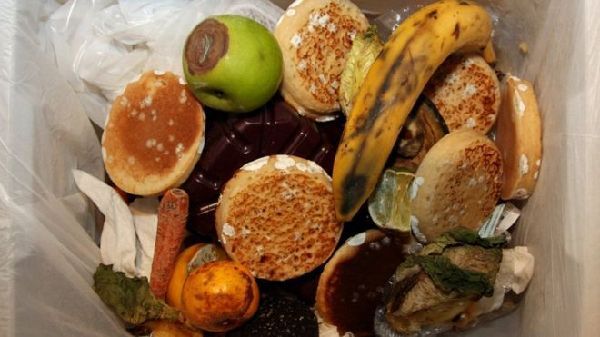 研究：全球1/3食物被浪费 严重危害环境