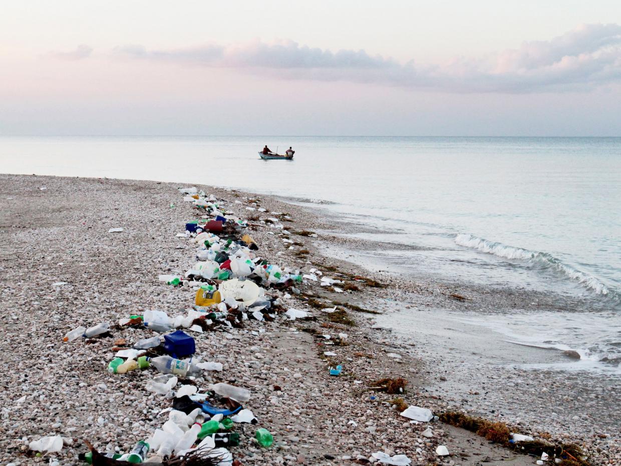 联合国警告 海洋塑料微粒污染危害全球 中国日报网