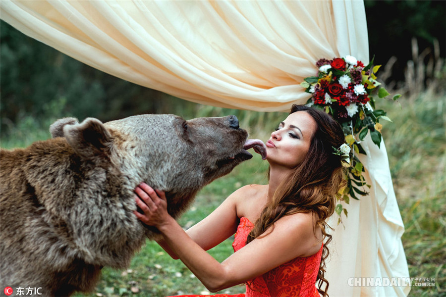俄罗斯新人请了一头大棕熊当婚礼“见证人”