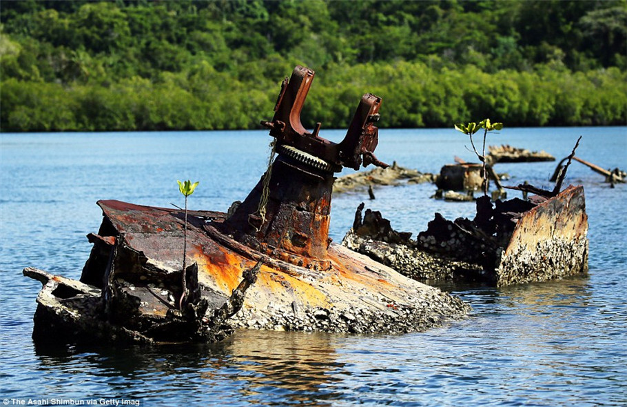 战争记忆：太平洋岛屿上的二战武器遗骸组照