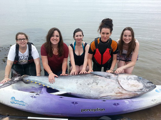 英国5名女大学生捡到价值700万元蓝鳍金枪鱼(图)
