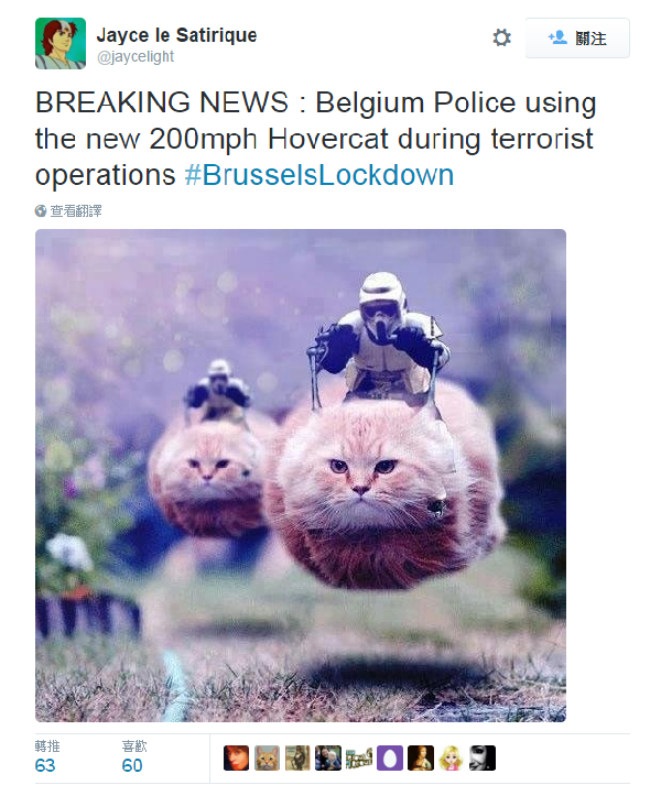 比利时忧反恐行动曝光 网友传猫图混淆视听