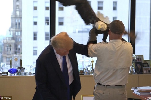 特朗普拍《时代》封面 惨遭美国国鸟攻击