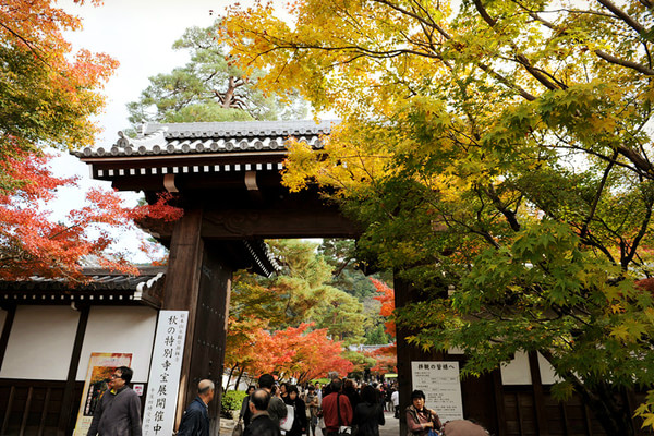 世界那么大 带你去看看日本十大人气旅游景点